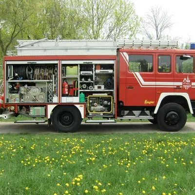 LF 16