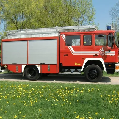 LF 16